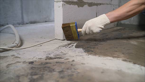 Top rated local Waterproofing specialists in Franklin, VA